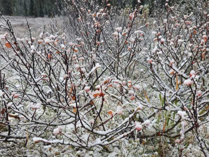 В Ергаках выпал первый снег